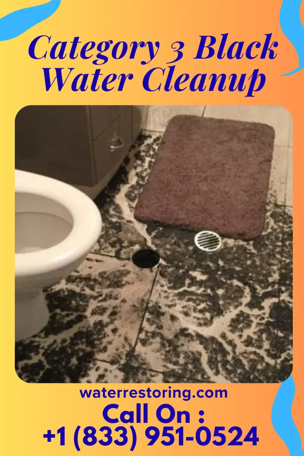 Category 3 Black Water Cleanup in Weston, NE