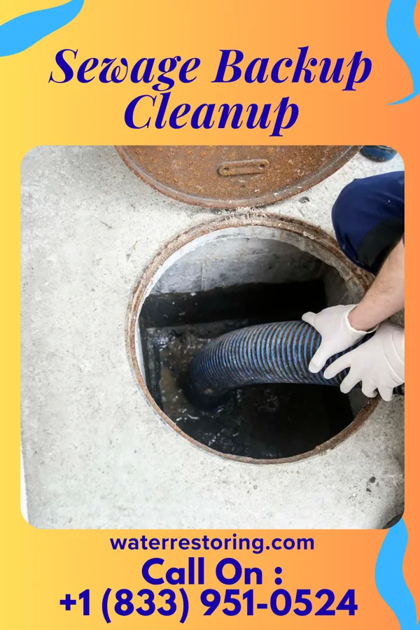 Sewage Backup Cleanup in Weston, NE