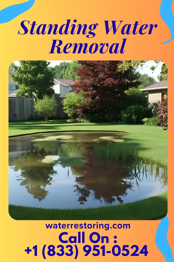 Standing Water Removal in Weston, NE
